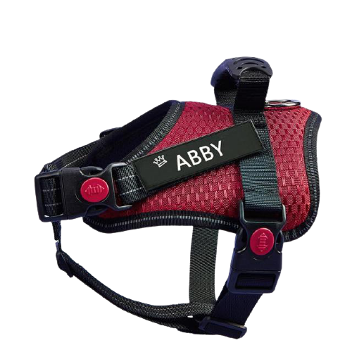 No Pull Anti Escape Dog Harness