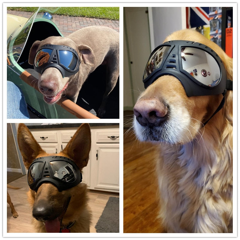 Quality Large Dog Windproof Goggles