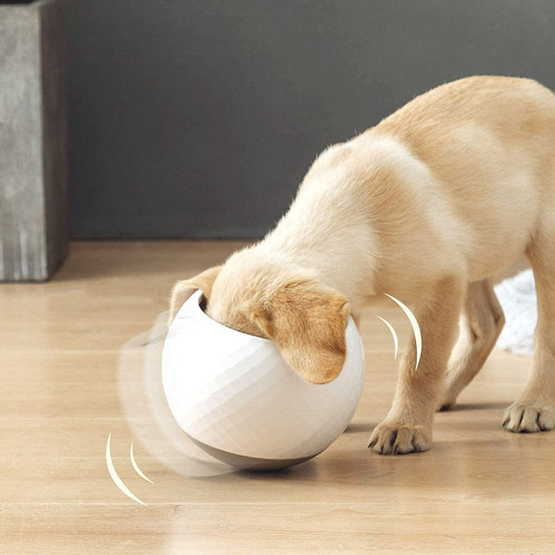 No Spill Slow Feeder Dog Wobbler Bowl