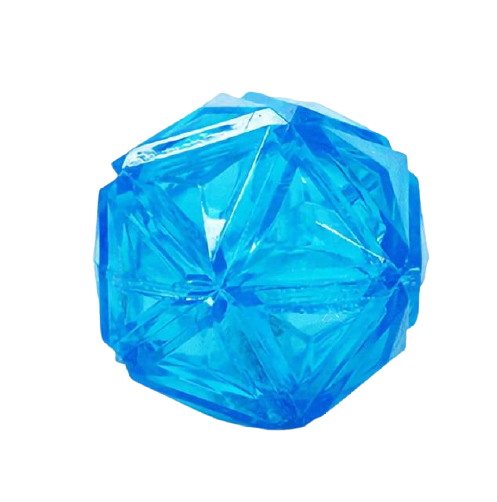 Squeaky Flash LED Dog Ball