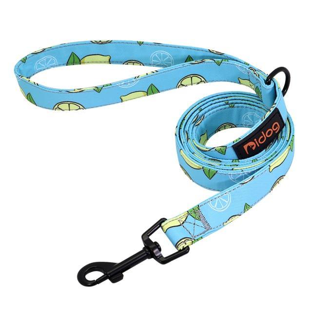 150cm Fashion Nylon Dog Leash - Bark ‘n’ Paws