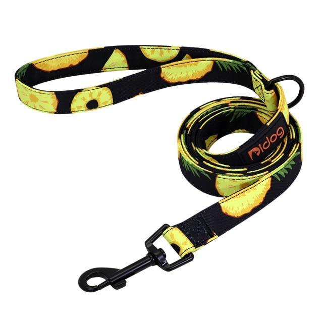 150cm Fashion Nylon Dog Leash - Bark ‘n’ Paws