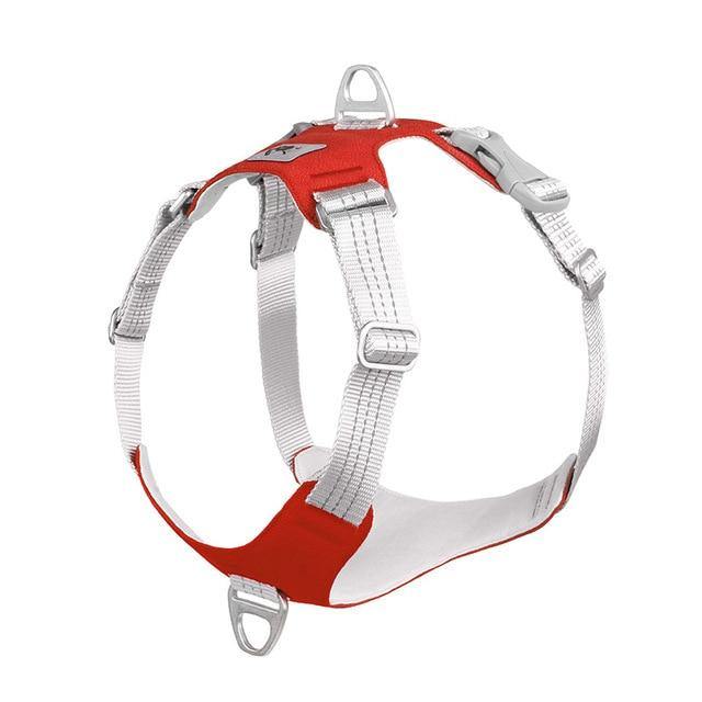 Padded Reflective Nylon Dog Harness - Bark ¡®n¡¯ Paws