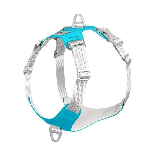 Padded Reflective Nylon Dog Harness - Bark ¡®n¡¯ Paws
