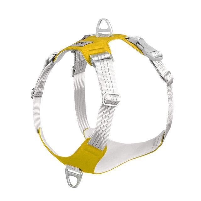 Padded Reflective Nylon Dog Harness - Bark ¡®n¡¯ Paws