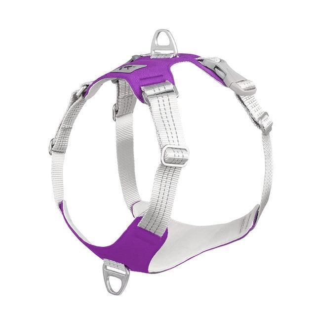 Padded Reflective Nylon Dog Harness - Bark ¡®n¡¯ Paws