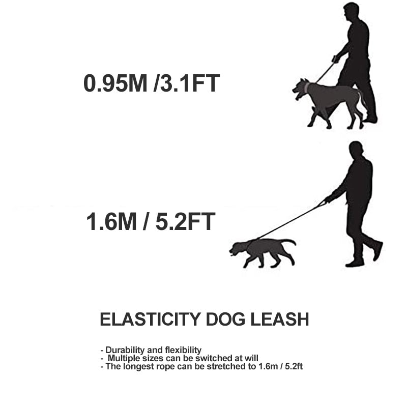 Lock System Elastic Dog Leash