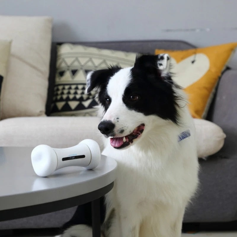 Interactive Smart Dog Bone Toy