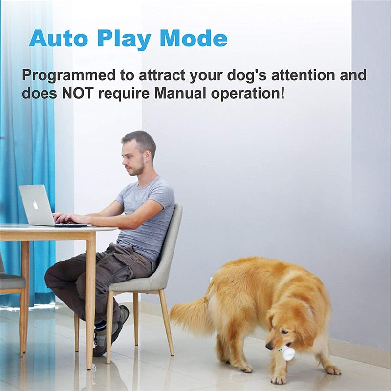 Interactive Smart Dog Bone Toy