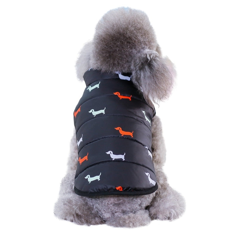Winter Dog Fashion Apparel
