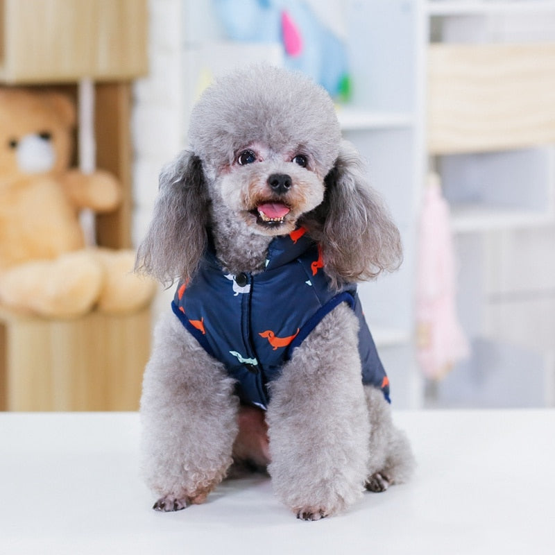 Winter Dog Fashion Apparel