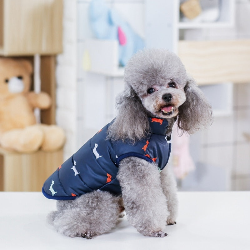 Winter Dog Fashion Apparel