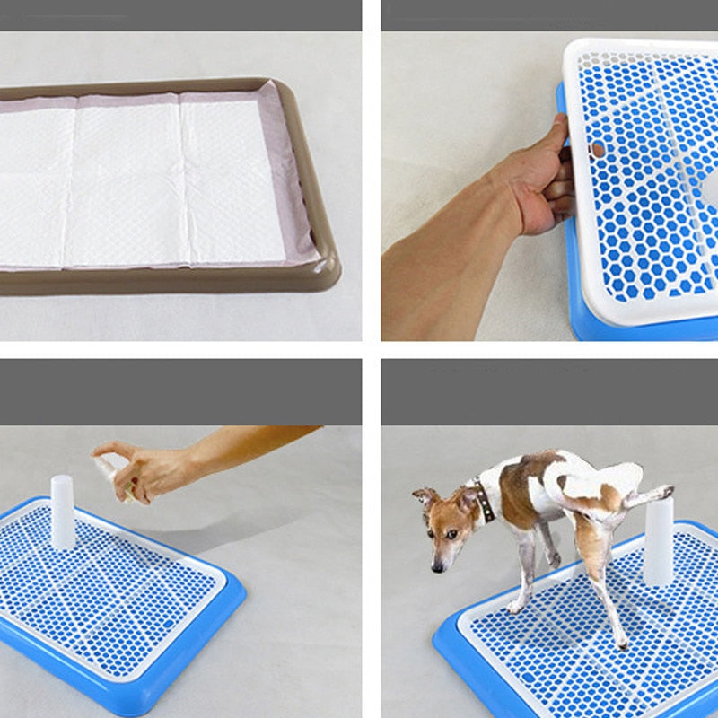 Lattice Dog Toilet Potty