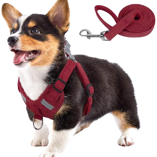 Suede Fabric Dog Harness And Leash