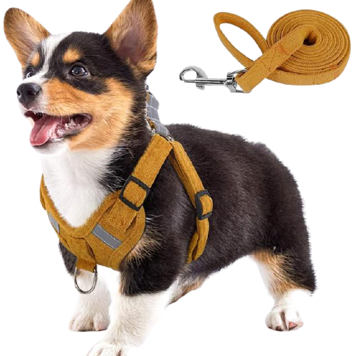 Suede Fabric Dog Harness And Leash