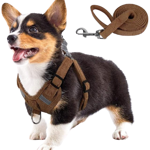 Suede Fabric Dog Harness And Leash