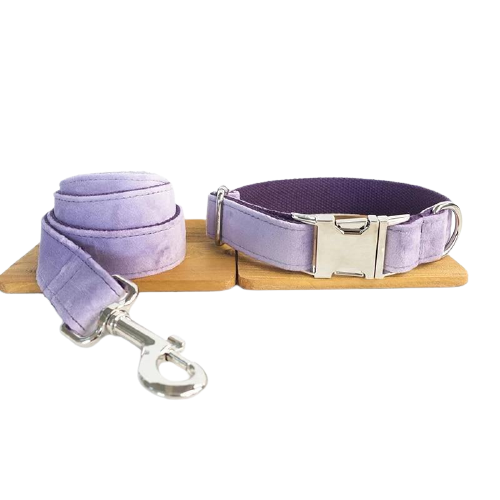 PURPLE VELVET Dog ID Collar