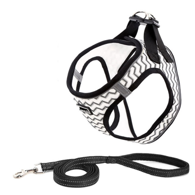 Durable No Pull Dog Harness & Leash