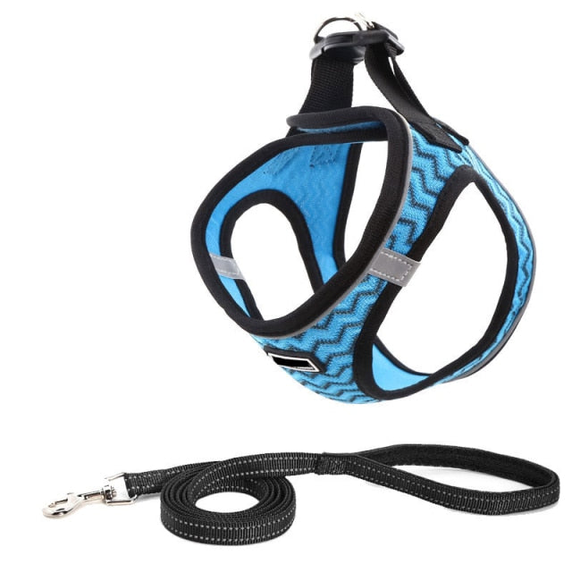 Durable No Pull Dog Harness & Leash