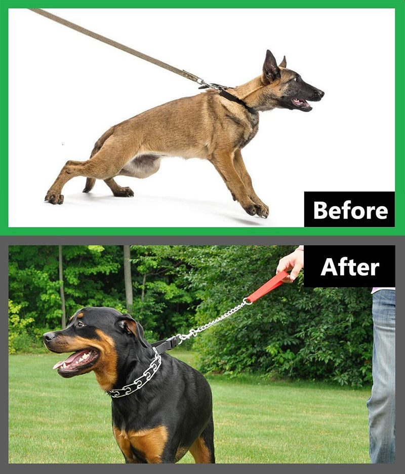 Adjustable Prong Dog Training Collar
