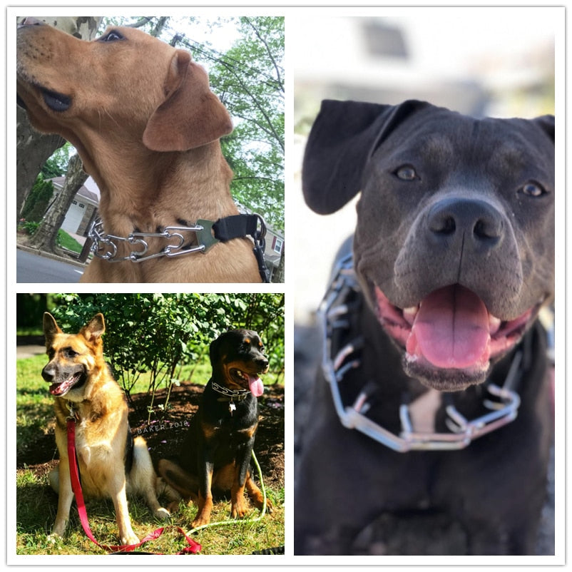 Adjustable Prong Dog Training Collar