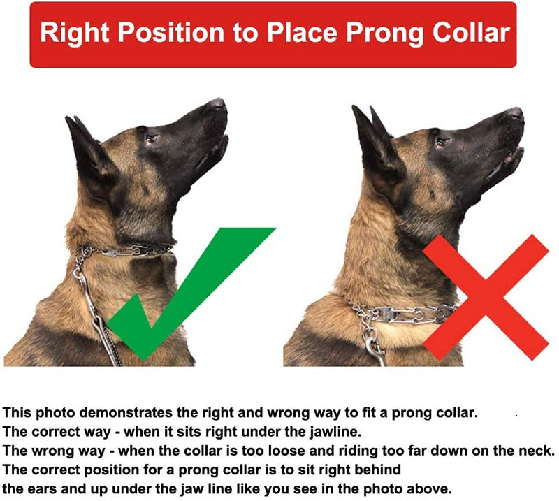 Adjustable Prong Dog Training Collar