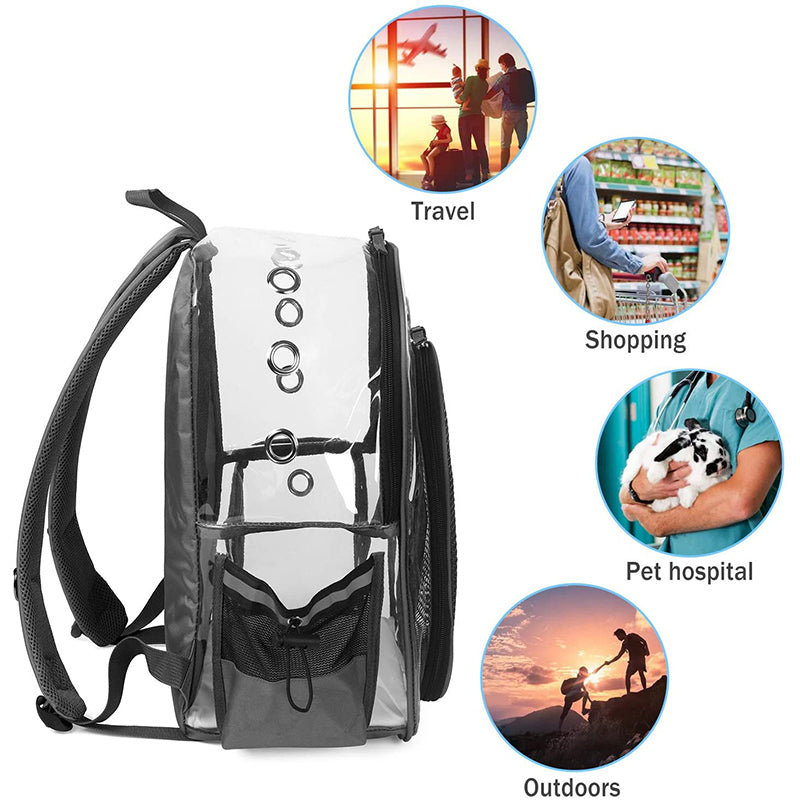 Transparent Small Dog Backpack