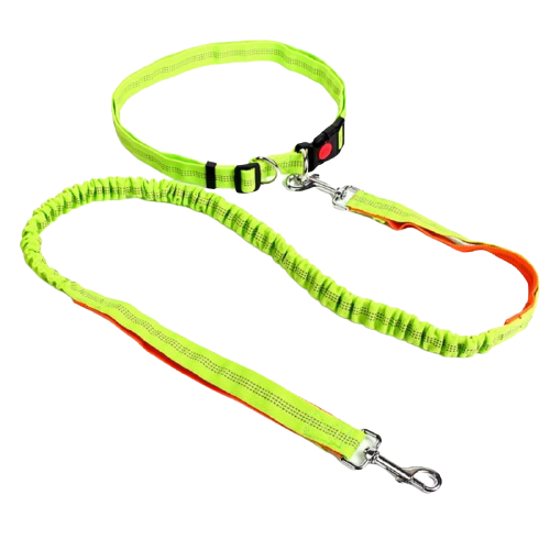 Night Reflective Hands Free Dog Leashes