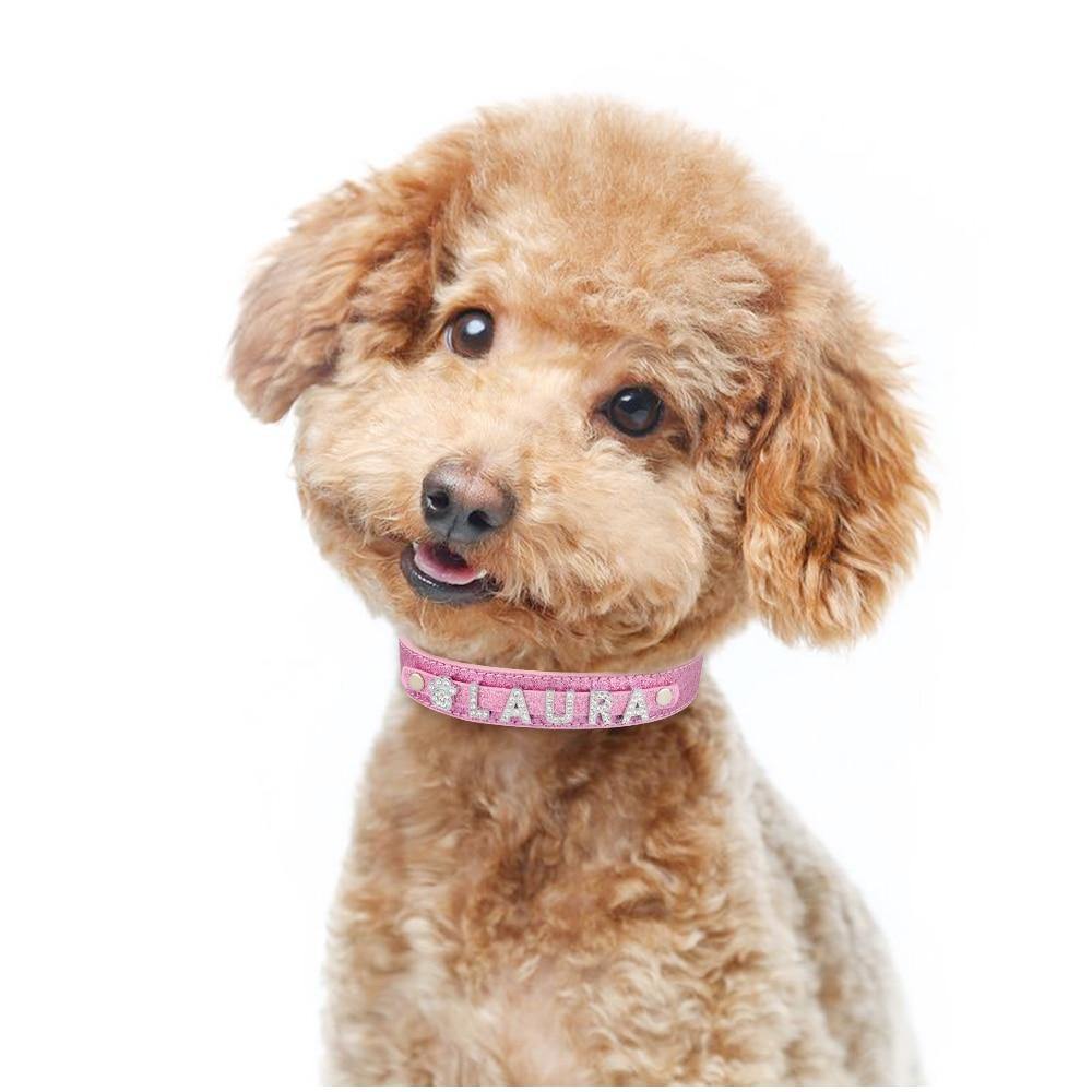 Leather Rhinestone Personalized Dog Collar - Bark ¡®n¡¯ Paws
