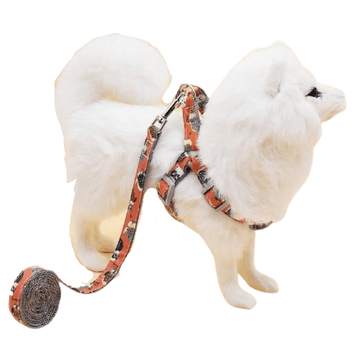 Adjustable Stylish Dog Harness - Bark ‘n’ Paws