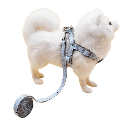 Adjustable Stylish Dog Harness - Bark ‘n’ Paws