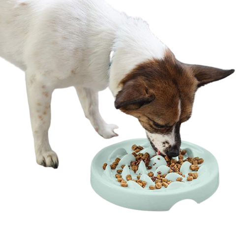 Premium Anti-Slip Dog Slow Feeder