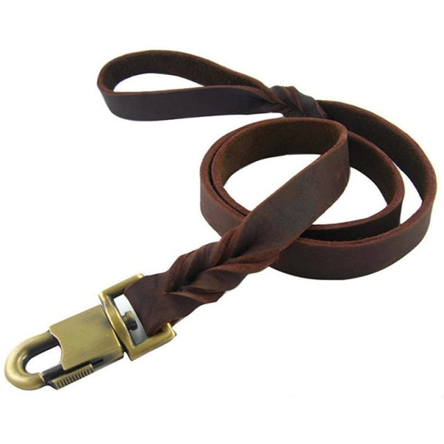 Leather Strong Braided Dog Leash