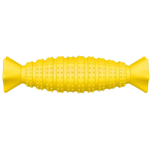 Teething Dog Bones Interactive Toys