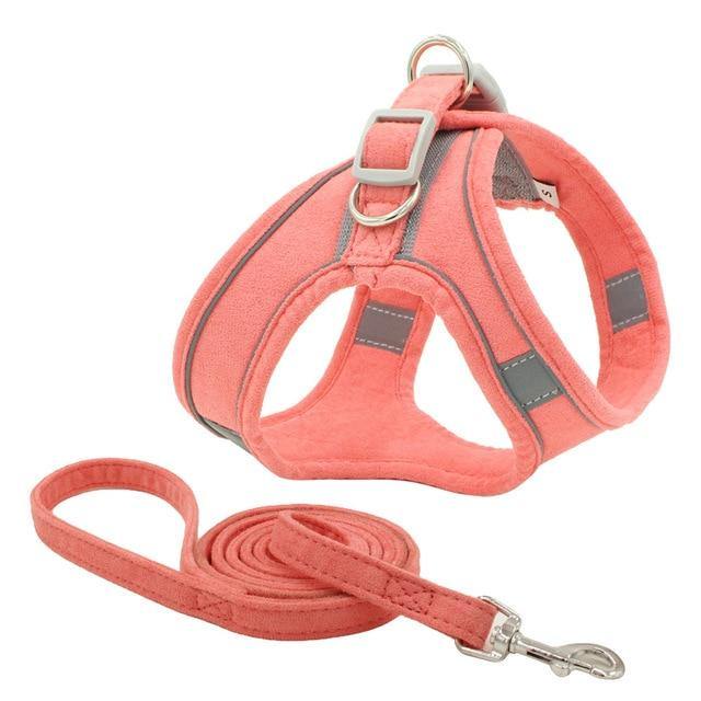 Reflective Leash With Dog Harness - Bark ¡®n¡¯ Paws