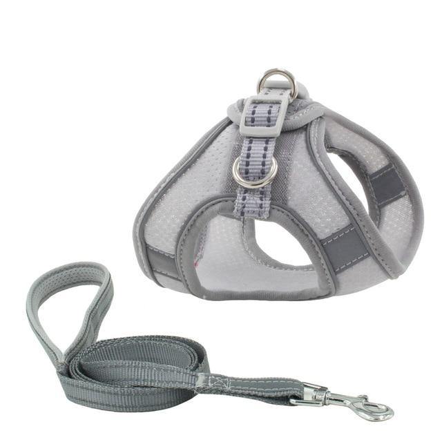 Reflective Leash With Dog Harness - Bark ¡®n¡¯ Paws