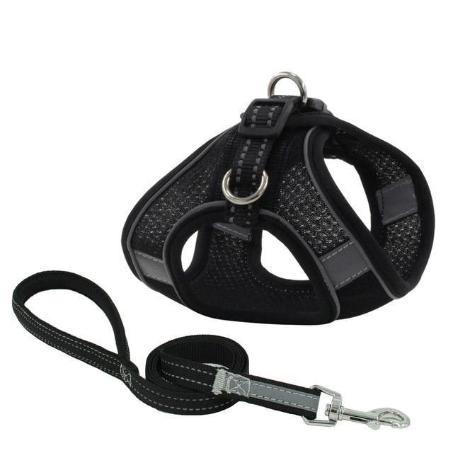Reflective Leash With Dog Harness - Bark ¡®n¡¯ Paws