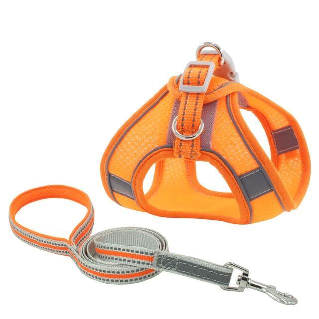 Reflective Leash With Dog Harness - Bark ¡®n¡¯ Paws