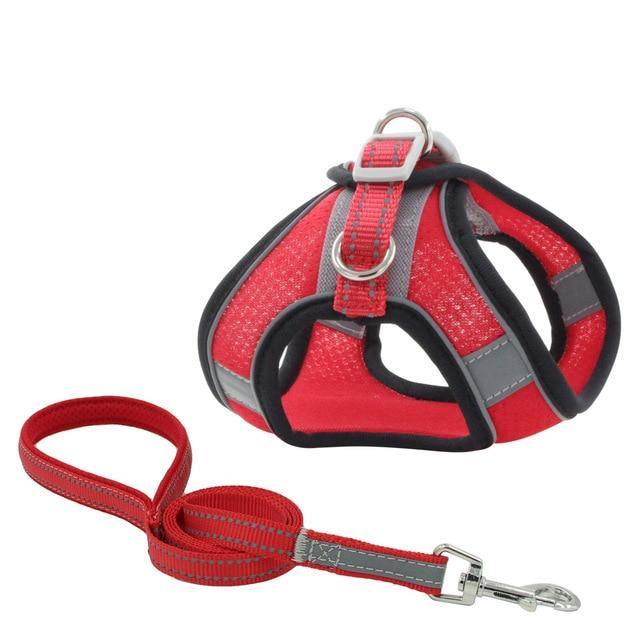 Reflective Leash With Dog Harness - Bark ¡®n¡¯ Paws