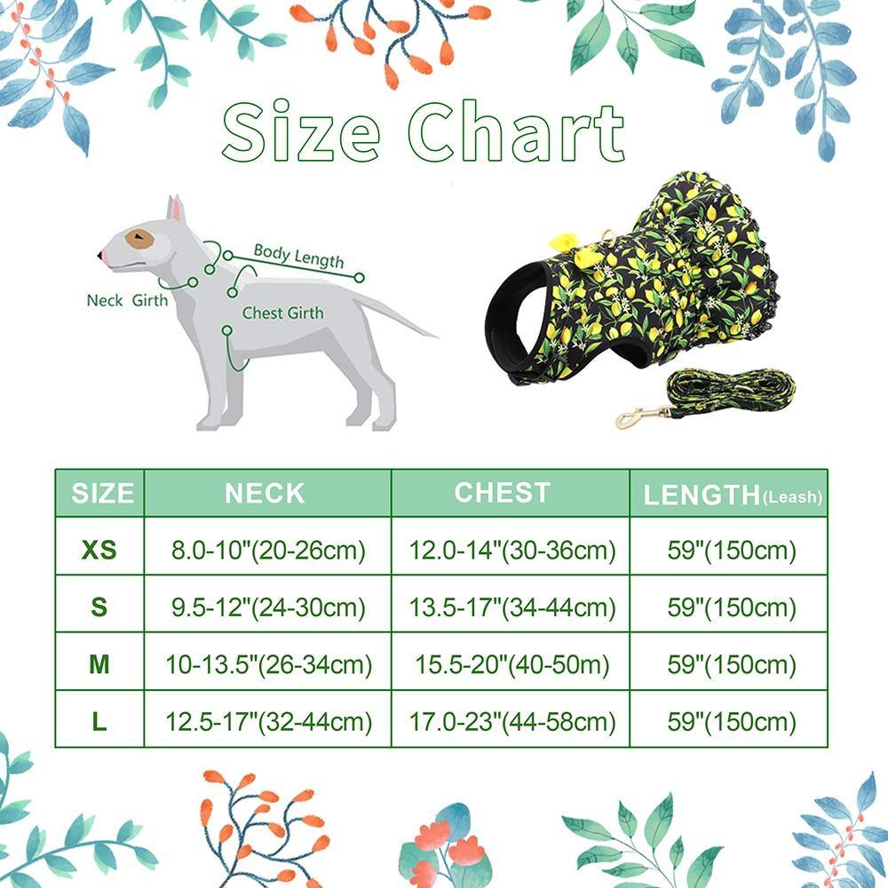 Cute Printed Dog Harness And Leash - Bark ‘n’ Paws