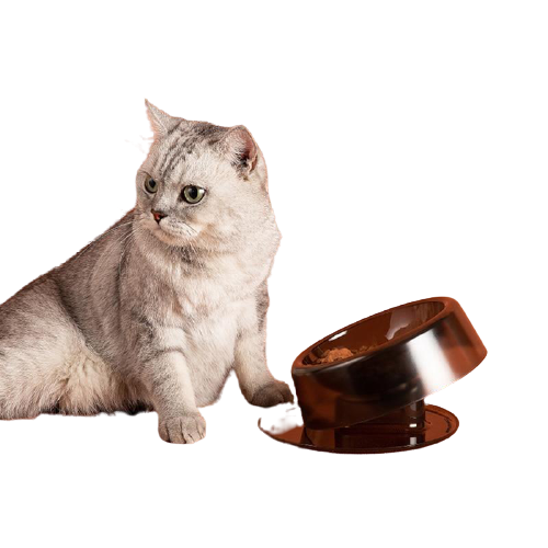 Single Pet Bowl With Raised Stand