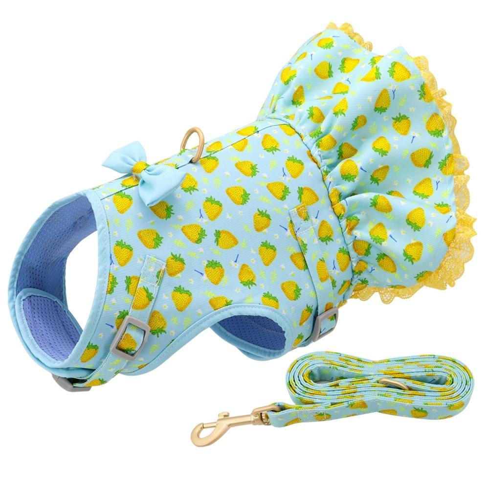 Cute Printed Dog Harness And Leash - Bark ‘n’ Paws