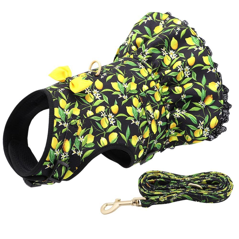 Cute Printed Dog Harness And Leash - Bark ‘n’ Paws