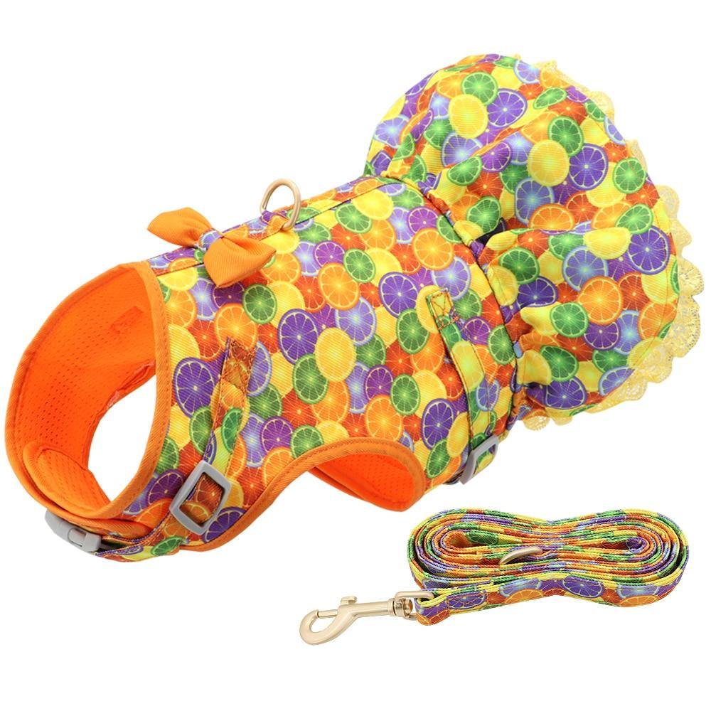 Cute Printed Dog Harness And Leash - Bark ‘n’ Paws