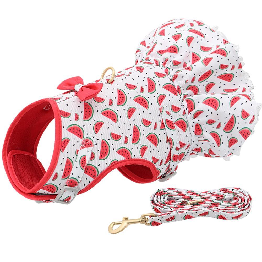 Cute Printed Dog Harness And Leash - Bark ‘n’ Paws