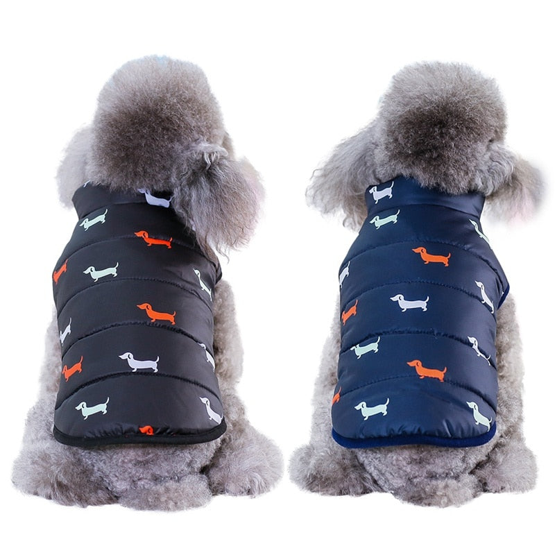 Winter Dog Fashion Apparel