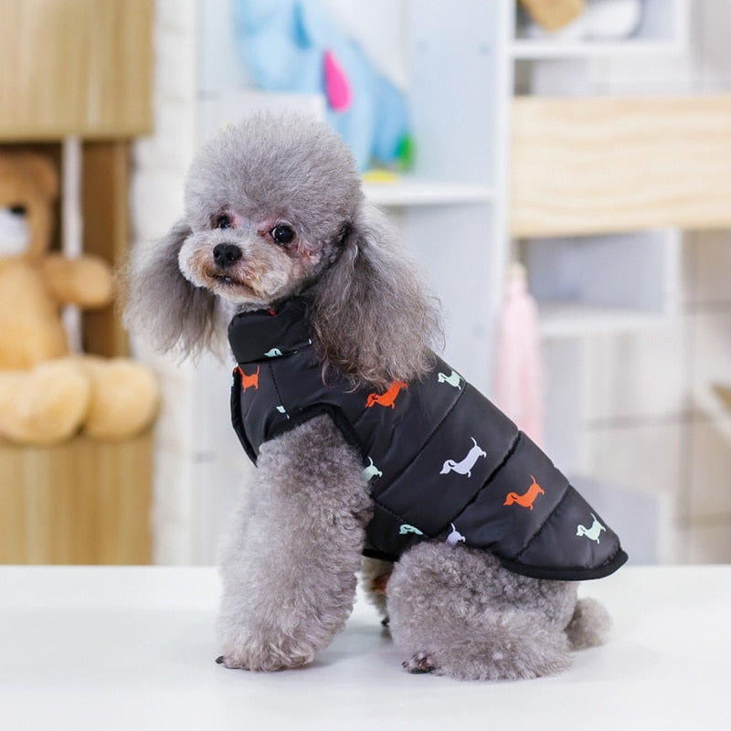 Winter Dog Fashion Apparel