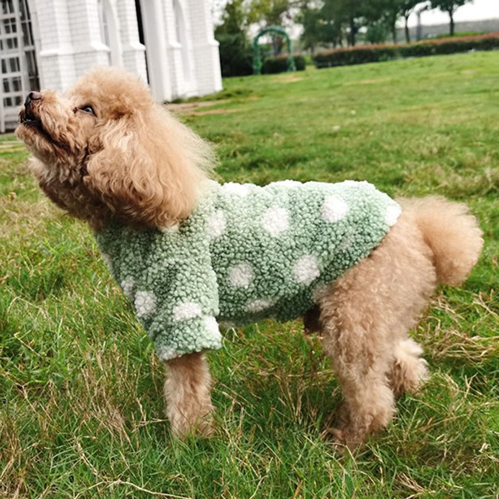 Polka Dot Cashmere Dog Sweater