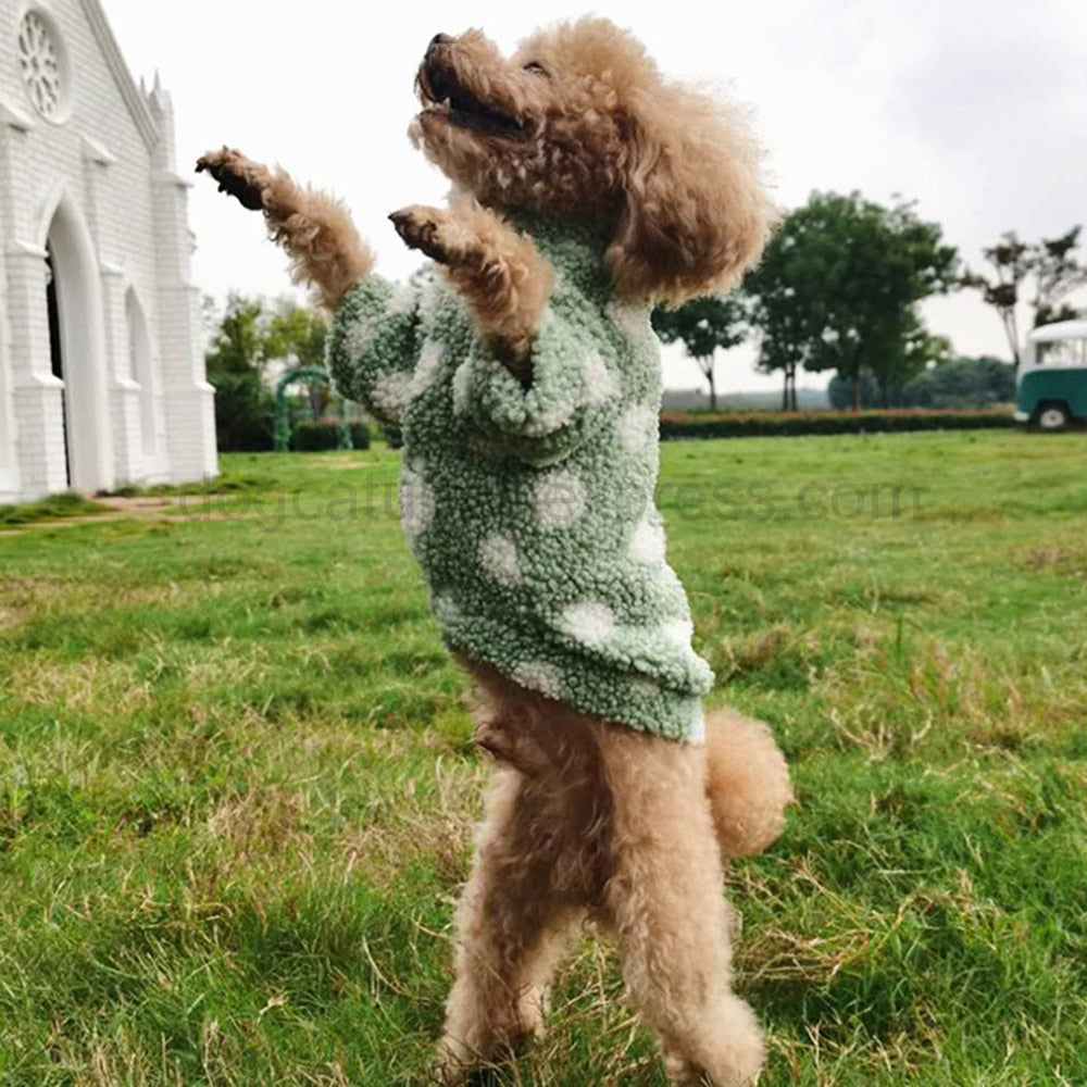 Polka Dot Cashmere Dog Sweater
