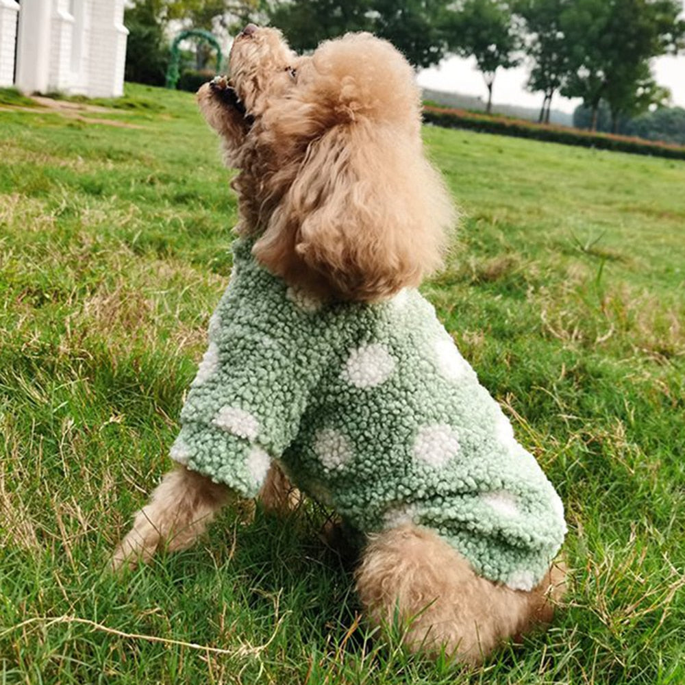 Polka Dot Cashmere Dog Sweater